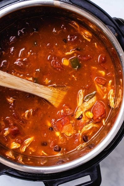 Healthy Instant Pot Chicken Enchilada Soup - The Recipe Well